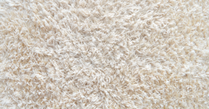 Photo of a Carpet